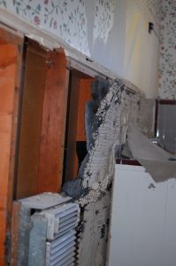 Bathroom Demo